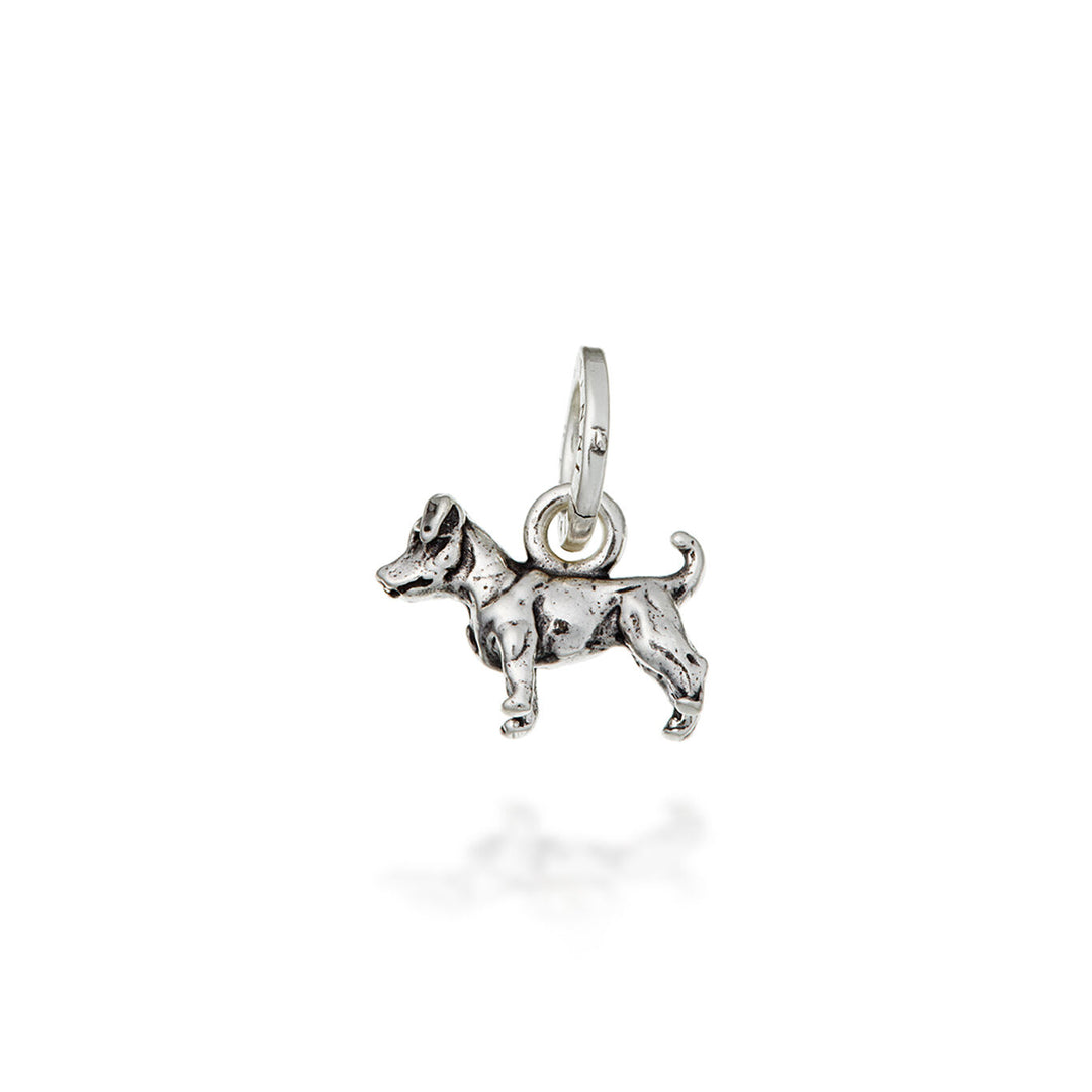 Giovanni Raspini Bedel Jack Russell 10404