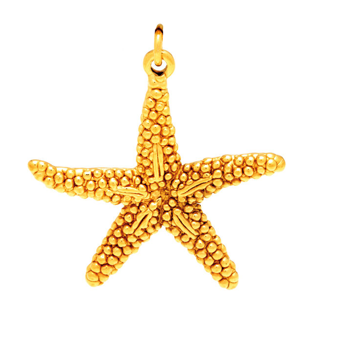 Giovanni Raspini zeester-bedelhanger in 925 zilver, goud PVD-afwerking 8563