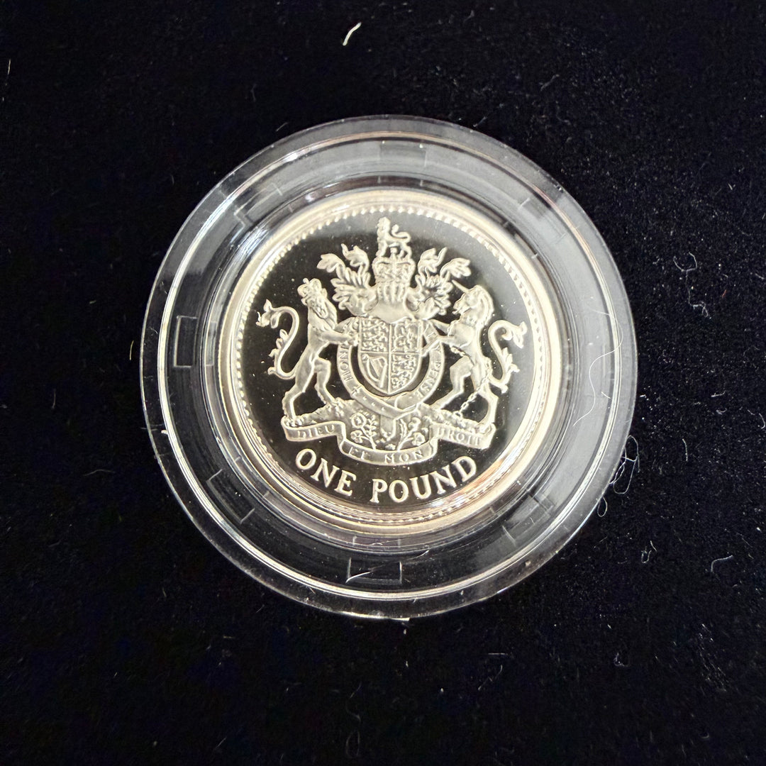 1 pièce en argent sterling 1993 Monnaie royale