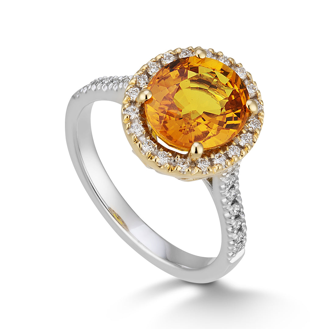 Golay ring z.oranje ovaal 9x7 en diam contour en schacht ALCCG427DIZO97-24068110042